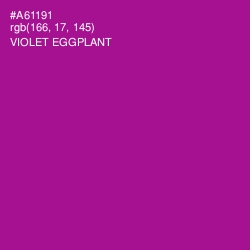 #A61191 - Violet Eggplant Color Image