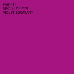 #A61481 - Violet Eggplant Color Image