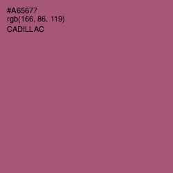 #A65677 - Cadillac Color Image