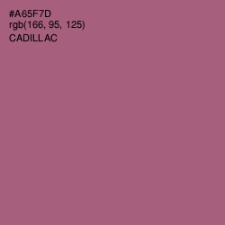 #A65F7D - Cadillac Color Image