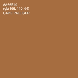 #A66E40 - Cape Palliser Color Image