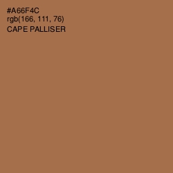 #A66F4C - Cape Palliser Color Image