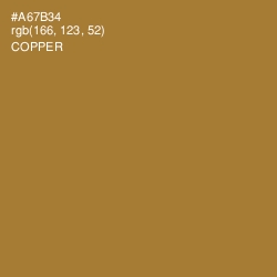 #A67B34 - Copper Color Image