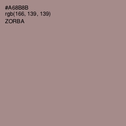 #A68B8B - Zorba Color Image