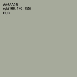 #A6AA9B - Bud Color Image