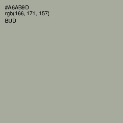 #A6AB9D - Bud Color Image