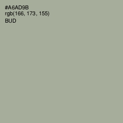 #A6AD9B - Bud Color Image