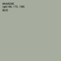 #A6AD9E - Bud Color Image