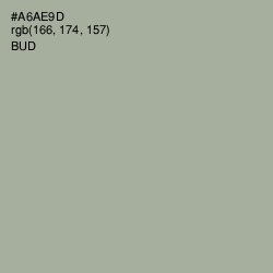 #A6AE9D - Bud Color Image