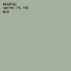 #A6AF9C - Bud Color Image