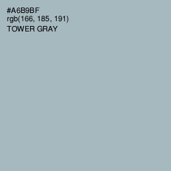 #A6B9BF - Tower Gray Color Image