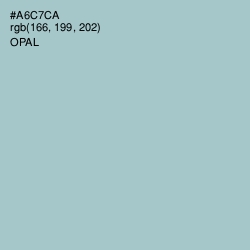 #A6C7CA - Opal Color Image