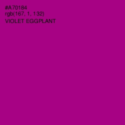 #A70184 - Violet Eggplant Color Image