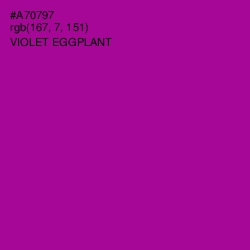 #A70797 - Violet Eggplant Color Image