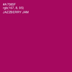 #A7085F - Jazzberry Jam Color Image