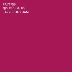 #A71756 - Jazzberry Jam Color Image