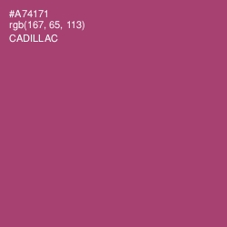 #A74171 - Cadillac Color Image