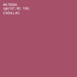 #A7506A - Cadillac Color Image