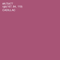 #A75477 - Cadillac Color Image