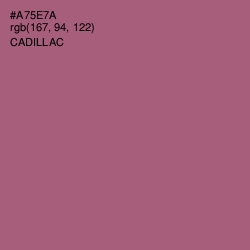 #A75E7A - Cadillac Color Image