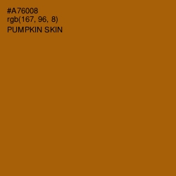 #A76008 - Pumpkin Skin Color Image