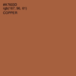 #A7603D - Copper Color Image