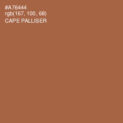 #A76444 - Cape Palliser Color Image