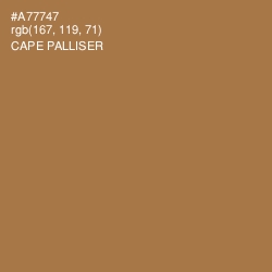 #A77747 - Cape Palliser Color Image