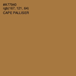 #A77940 - Cape Palliser Color Image