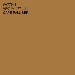 #A77941 - Cape Palliser Color Image