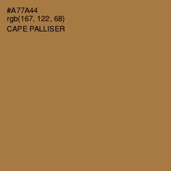 #A77A44 - Cape Palliser Color Image