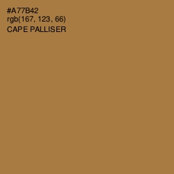 #A77B42 - Cape Palliser Color Image