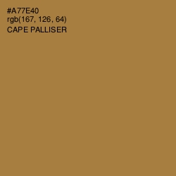 #A77E40 - Cape Palliser Color Image