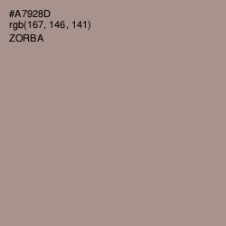 #A7928D - Zorba Color Image