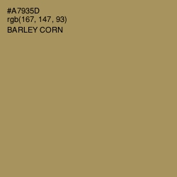 #A7935D - Barley Corn Color Image