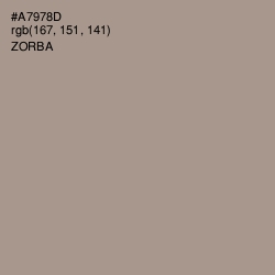 #A7978D - Zorba Color Image