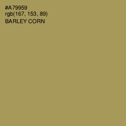 #A79959 - Barley Corn Color Image