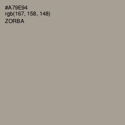 #A79E94 - Zorba Color Image