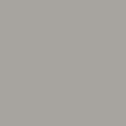 #A7A59B - Dawn Color Image