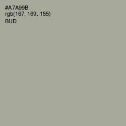 #A7A99B - Bud Color Image