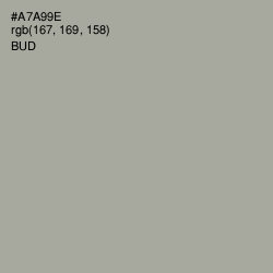 #A7A99E - Bud Color Image