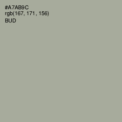 #A7AB9C - Bud Color Image