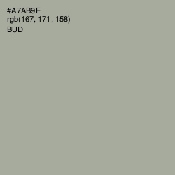 #A7AB9E - Bud Color Image