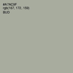 #A7AC9F - Bud Color Image