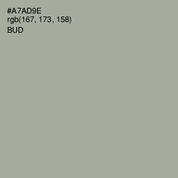 #A7AD9E - Bud Color Image