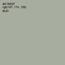 #A7AE9F - Bud Color Image