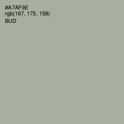 #A7AF9E - Bud Color Image