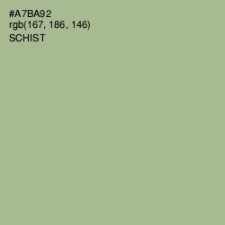 #A7BA92 - Schist Color Image