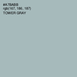 #A7BABB - Tower Gray Color Image
