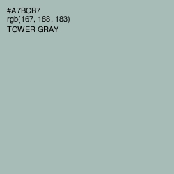 #A7BCB7 - Tower Gray Color Image